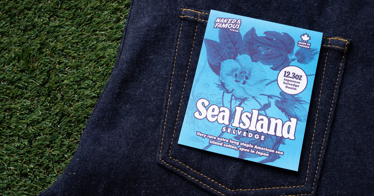 Uncovering the Story of Sea Island Cotton