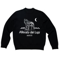 Intarsia knit Slub Sweater - Black