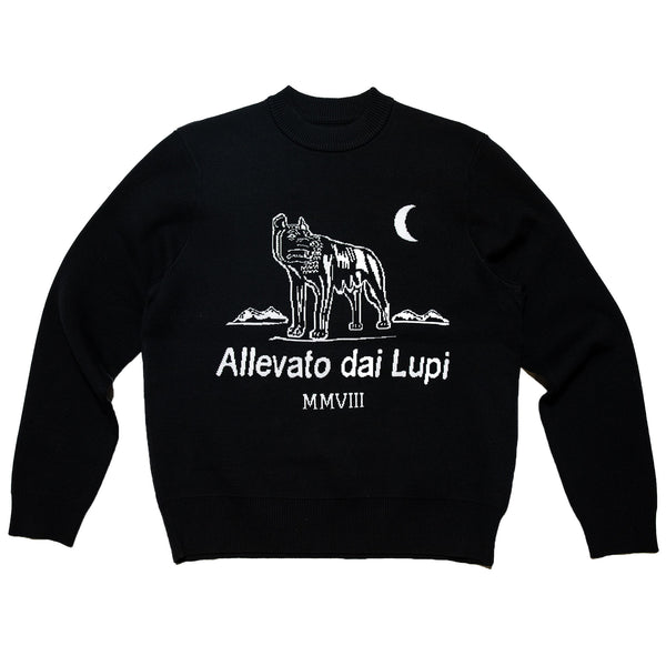 Intarsia knit Slub Sweater - Black